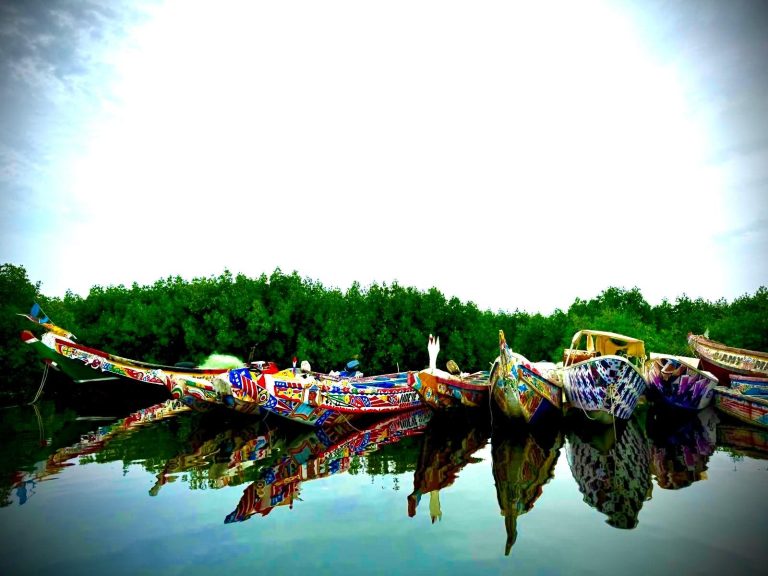 Coloridas piraguas típicas de Senegal, atracadas en el río rodeado de manglares