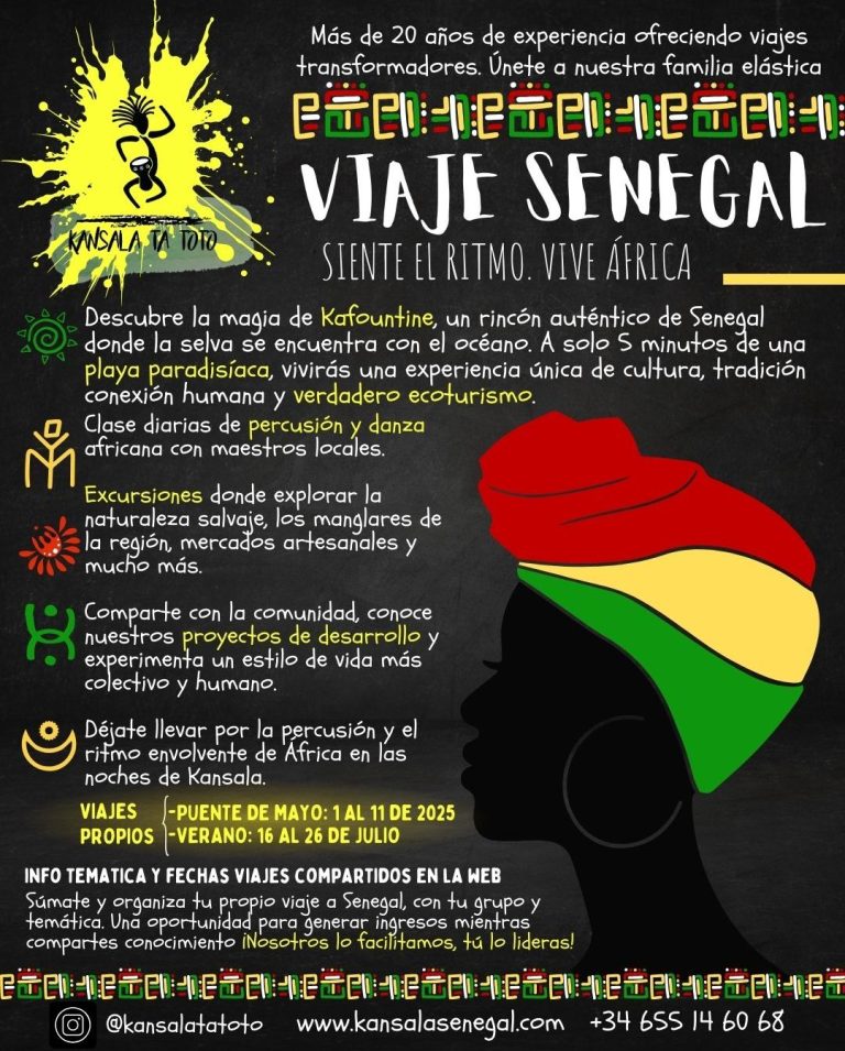 Coloridas piraguas típicas de Senegal, atracadas en el río rodeado de manglares