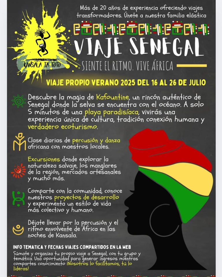 Coloridas piraguas típicas de Senegal, atracadas en el río rodeado de manglares